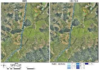 Figure 7 : Input and output hydrograph of the models for RT of 2 years