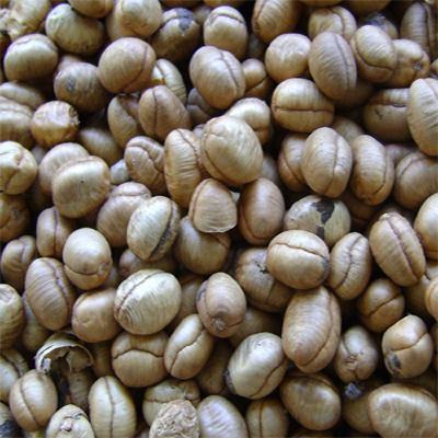 Part of the raw material burns inside the reactor to provide heat needed to carbonize the remainder. Type 2: Direct heat transfer from hot gases produced by combustion of one or more of the pyrolysis products or any other fuel outside the reactor. Type 3: Direct heat transfer from inert hot material (hot gases or sand introduced into the reactor. Type 4: Indirect heat transfer through the reactor walls (i.e. external heat source due to combustion of one of or more pyrolysis products or any other fuel)