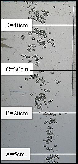 2014 Global Journals Inc. (US) Global Journal of Researches in Engineering ( ) C Volume XIV Issue II Version I Year 2014 38 Experimental Determination of Bubble Size in Solution of Surfactants of the Bubble Column d be = d 2 b, max d b, min