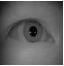 Dimensionality Reduced Iris Recognition System with Aid of AI Techniques © 2014 Global Journals Inc. (US)From the radius ( ) IR which is obtained in the above process is used to segment the iris from the eye image. Thus finally we obtained the iris )