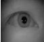 Set the angle 0 = ? , and set the summation of the radius of the Iris as