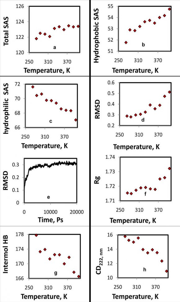 show parameters of total SAS, hydrophobic SAS, radius of gyration and RMSD