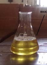 Figure 4.0 : A photograph of spherical shaped concretes and those imbedded with copper tube