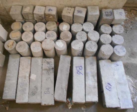 Figure 1: The test specimens