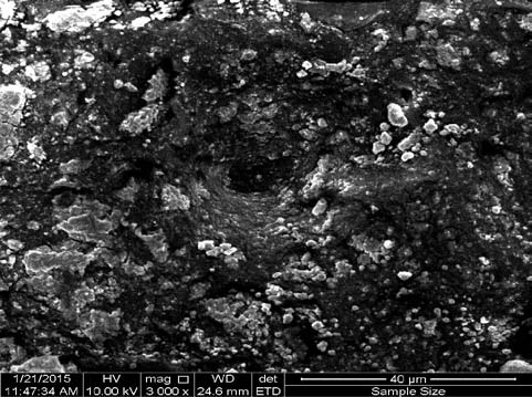 Figure (5b) shows a granular sharp edge surface but with less porosity. This may be attributed to the effect of solar irradiant which indicated that the morphology of the conducting polymer is strongly dependent on the irradiated excitation wavelength (Sonkawade, 2010; de Barros et al. 2003). Micrograph of Figure (5c) shows an agglomeration of nano-crystals in size ~ 2 to 4 ?m. This agglomeration may be increased as the operating temperature is reduced further