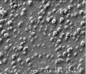 Fig. 1: X-ray diffraction pattern of SnS 2 thin films with different molar concentrations.
