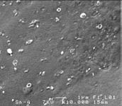 Fig. 3: SEM images and EDX spectra of SnS 2 thin films deposited at substrate temperature equal to 330 °C with different solutions concentration: (a) 0.05 mol/l (b) 0.06 mol/l (b) 0.07 mol/l and (c) 0.08 mol/l.