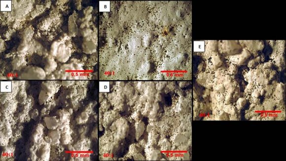 Photocatalytic Performance of White Cement Mortars Exposed In Urban Atmosphere