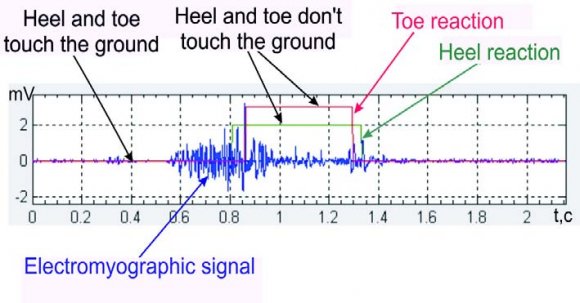 Figure 1: The software of the system "Mio Sport"