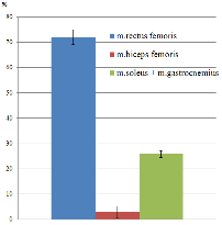 The histograms of the percentage ratio of the EMG energy shares of the motion pattern for the studied muscles: the muscles m. gastrocnemius lateralis and m. soleus mainly provide test motion (?); the muscles m. rectus femoris, m. gastrocnemius lateralis and m. soleus are equal in the degree of involvement in the process of motion (b); the muscle m. rectus femoris dominates in the process of the motion (c) Thus, the percentage ratio of the EMG energy shares of the motion pattern for the studied muscles is different and allows to identify three types of motion skills for the jump: a) the muscles m. gastrocnemius lateralis and m. soleus mainly provide test motion (Fig. 6 a); b) the muscles m. rectus femoris, m. gastrocnemius lateralis and m. soleus are equal in the degree of involvement in the process of motion (Fig. 6 b); c) the muscle m. rectus femoris dominates in the process of the motion (Fig. 6 c). The EMG energy share of the motion pattern for the muscle m. biceps femoris does not exceed 5%.