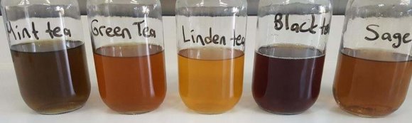 Figure 1: Black, green, mint, linden and sage teas before fermentation c) Microbiological AnalysisSerial dilutions of kombucha samples were prepared in aseptic conditions using sterile saline containing 0.89% NaCl. MRS Agar (de Man Rogosa Sharpe, Merck) was used for counting lactobacilli, Petri plates were incubated for 72 hours at 30 o C[14]. Lactococci were counted after 48 hours incubation at 30 o C in M17 Agar (Oxoid)[15]. PDA (potato dextrose agar) was used for total yeast count, and Petri plates were incubated for three days at 25 o C[16]. For total acetic acid bacteria count, a medium containing 1%
