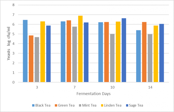 Figure 6: Biofilms formed in the kombuchas and kombuchas produced from black, green, mint, linden and sage teas at the end of fermentation