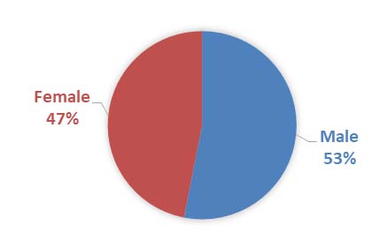 Figure 5: The pie chart of gender classification
