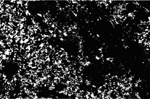 Correlation matrix for a subset of the MERIS image of June 16th, 2003.
