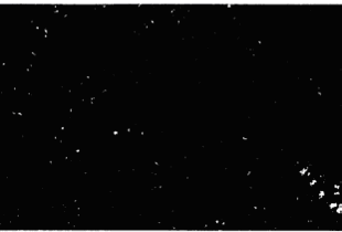 Classification results for the MERIS image of June 16th, 2003.