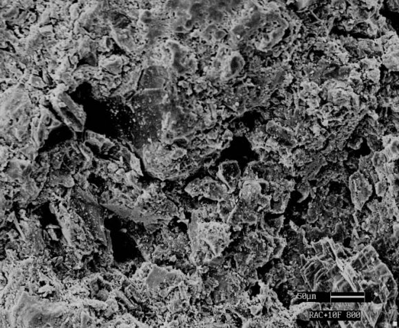 Fig 8 : Microstructure of Geo polymer coated RAC -10F sample after exposing to 800 o C temperature IV.