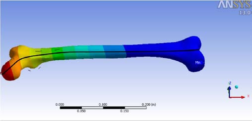 Figure 20 : Path along which deflection is measured