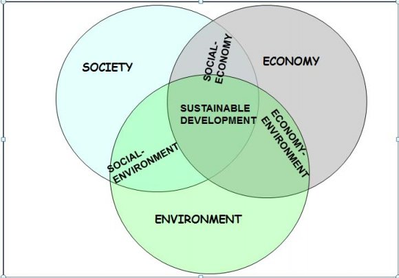 Figure 2 : Sustainable development(Mohanty A. et al.2013)   