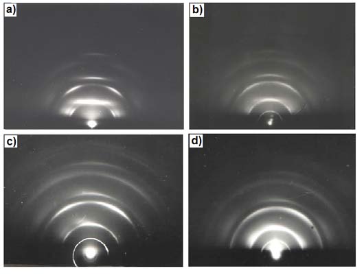 Figure 2 : D TG for Untreated neem wood