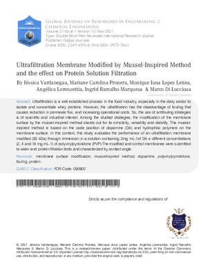 Ultrafiltration Membrane Modified by Mussel-Inspired Method and the Effect on Protein Solution Filtration