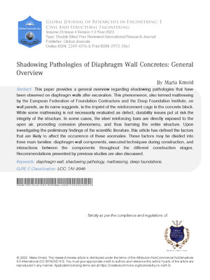 Shadowing Pathologies of Diaphragm Wall Concretes: General Overview